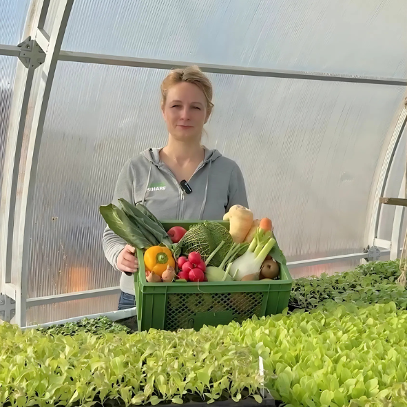 KI generiert: Person in Gewächshaus mit Kiste voller Gemüse zwischen Setzlingen. 