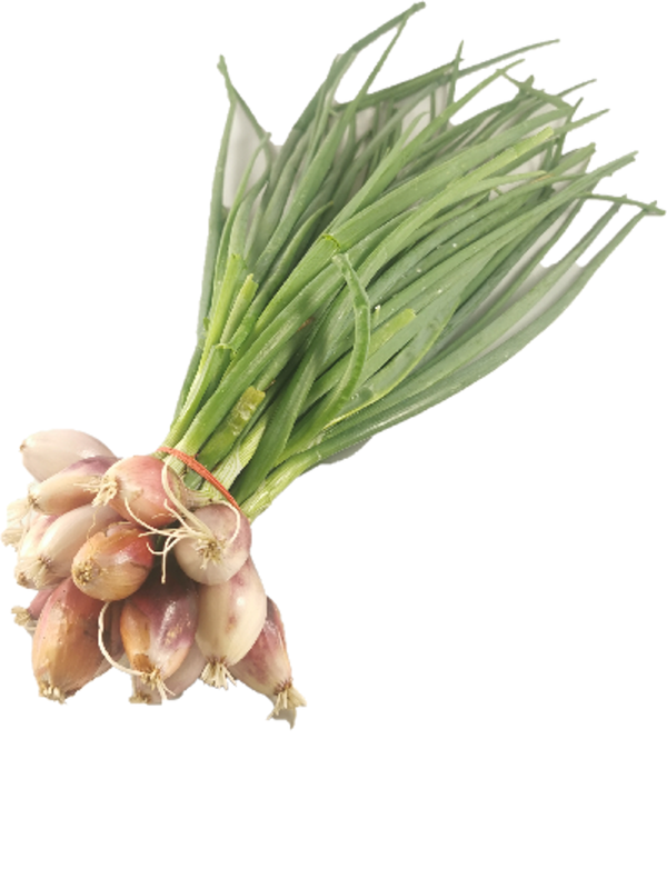 Produktfoto zu Schalotten, Bund