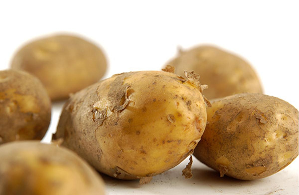 Produktfoto zu Kartoffel Karlena mk
