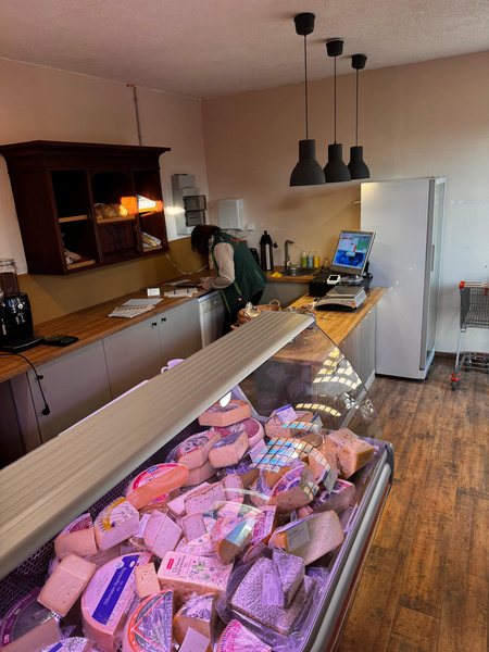 KI generiert: Ein Laden mit Käsetheke, Kühlschrank und Arbeitsfläche. Person arbeitet im Hintergrund.