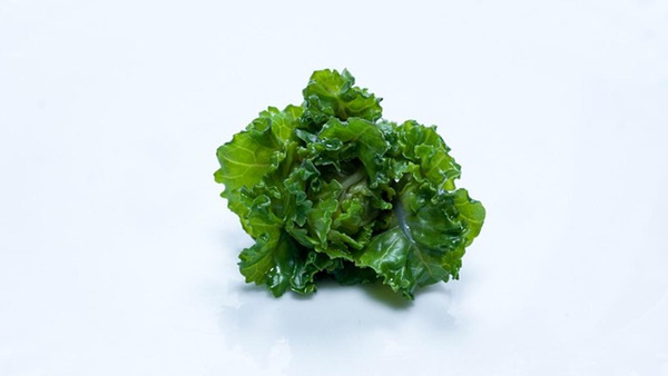 Produktfoto zu Flower Sprouts