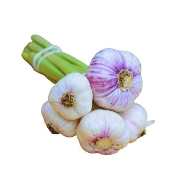 Produktfoto zu Frühlingsknoblauch im Bund