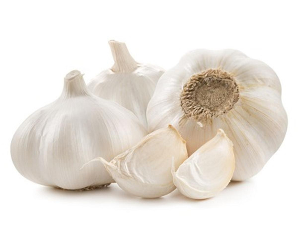 Produktfoto zu Knoblauch, frisch