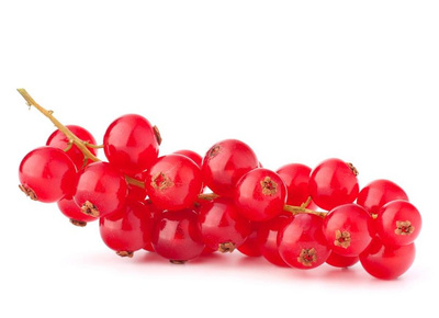 Produktfoto zu Johannisbeeren rot