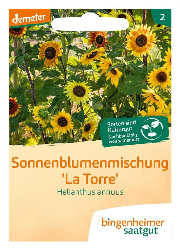 Produktfoto zu Sonnenblumen Samen