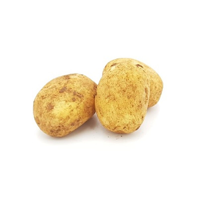 Produktfoto zu Frühkartoffel Sunita mk
