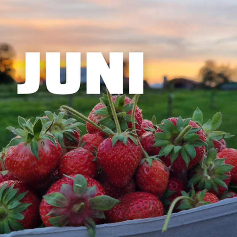 Monatsangebot Juni