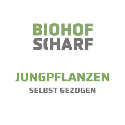 Produktfoto zu Snackpaprika, Piquillo, Pf.