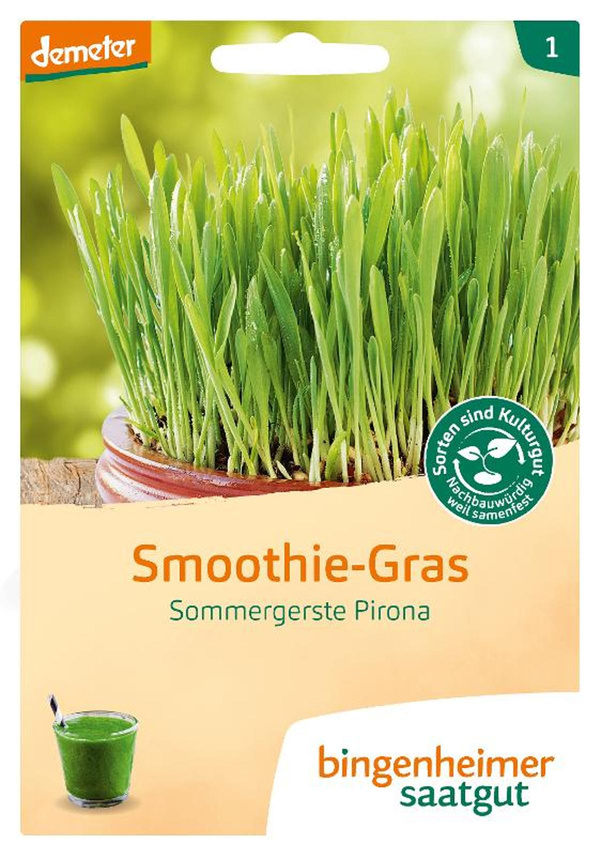 Produktfoto zu Sommergerste Pirona, Smoothie-