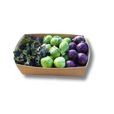 Produktfoto zu Röschenmix