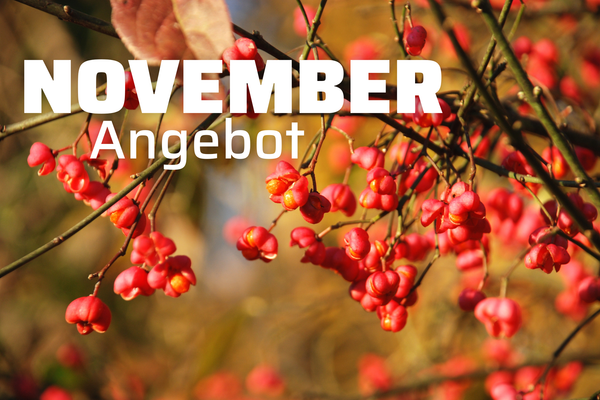 KI generiert: Das Bild zeigt eine Tee-Anordnung mit einer Glasteekanne, einer Tasse Tee und verschiedenen Kräutern und Blumen auf einem Schieferbrett. Der Text "Wellness für den Jahresstart" ist darauf platziert und betont einen entspannten, gesundheitsfördernden Beginn des Jahres.