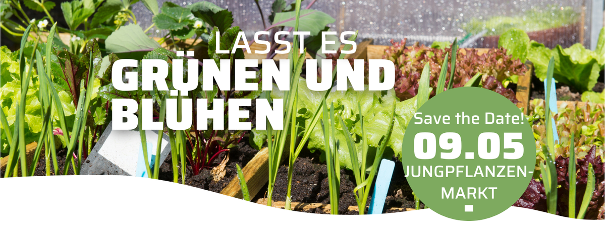 KI generiert: Das Bild zeigt eine Werbeanzeige für frisches Gemüse mit einem Gutscheincode. Es bietet einen Rabatt von 15% für Freunde und 5 Euro für den Käufer, gültig bis zum 31.01.2025.