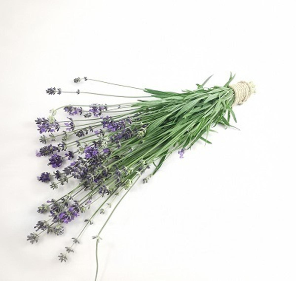 Produktfoto zu Lavendel mit getrockneter Blüte