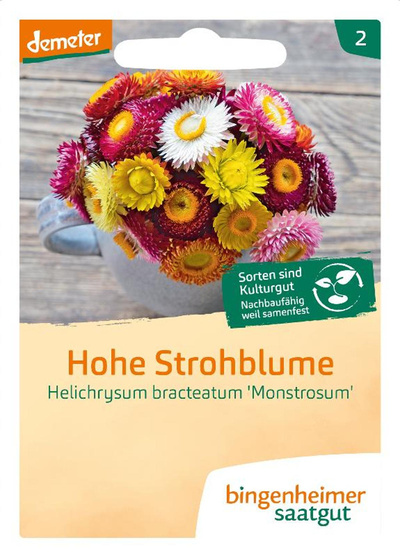 Produktfoto zu Hohe Strohblume