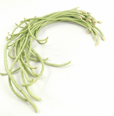 Produktfoto zu Spaghetti- Bohnen