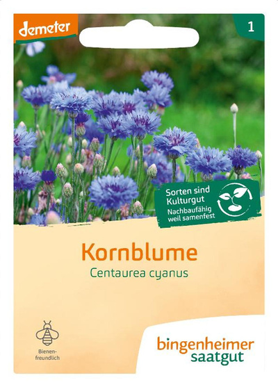 Produktfoto zu Kornblume blau