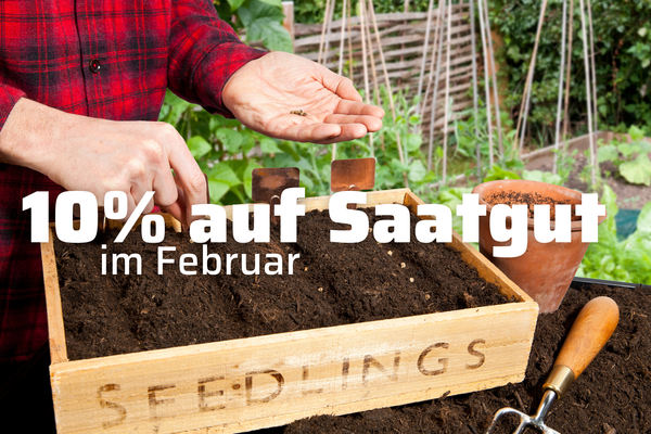 KI generiert: Das Bild zeigt eine Schüssel mit Gemüsesuppe und einem Brötchen auf einem Tisch. Auf dem Bild steht der Text "Wärmt die Seele".