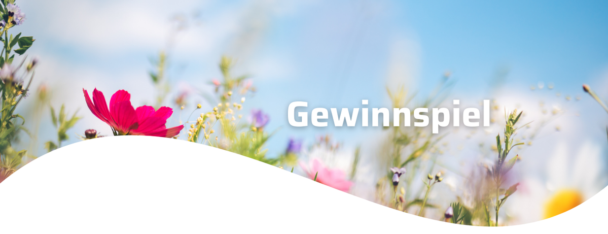 KI generiert: Das Bild zeigt eine Person in sportlicher Kleidung, die eine Yoga-Position ausführt. Es wird zudem ein Gewinnspiel von "Ekataras & Biohof Scharf" angekündigt.