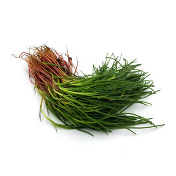 Produktfoto zu Mönchsbart - Roscano Agretto '