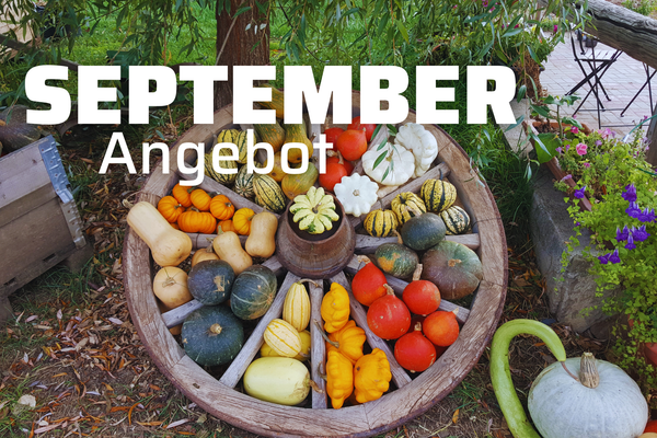Holtzrad gefüllt mit bunten Kürbissen: September Angebot