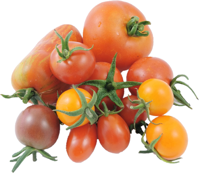 Produktfoto zu Tomaten Mix B-Ware