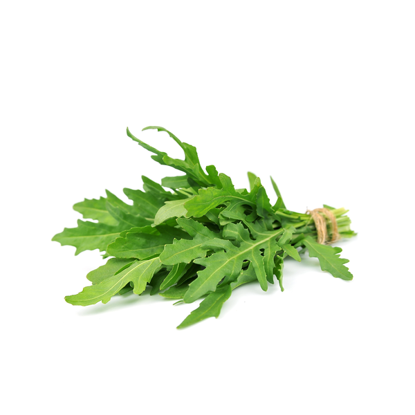 Produktfoto zu Rucola im Bund