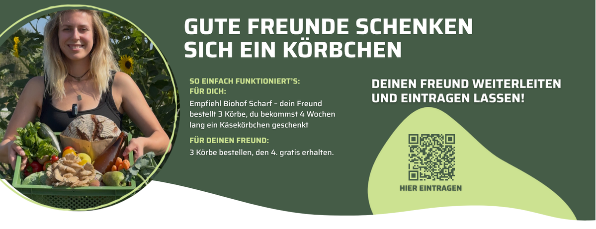 KI generiert: Das Bild zeigt eine Werbeanzeige für frisches Gemüse mit einem Gutscheincode. Es bietet einen Rabatt von 15% für Freunde und 5 Euro für den Käufer, gültig bis zum 31.01.2025.