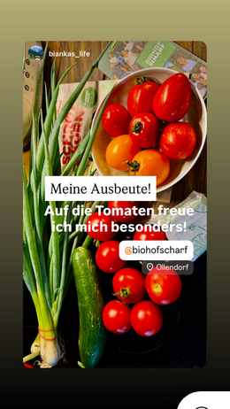 KI generiert: Frisches Gemüse auf einem Tisch: Tomaten, Gurke und Frühlingszwiebeln. Text: „Meine Ausbeute! Auf die Tomaten freue ich mich besonders! @biohofscharf Ollendorf“
