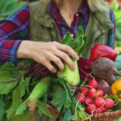 KI generiert: Ein Korb voller frischem Gemüse in der Hand einer Person.