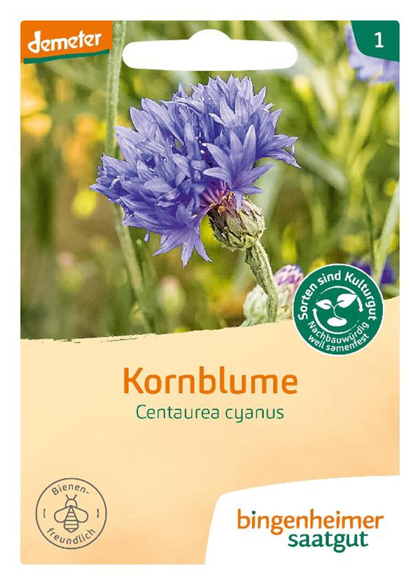 Produktfoto zu Kornblume blau