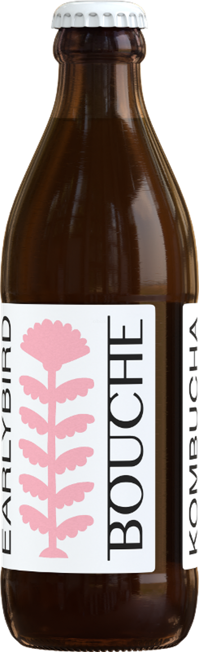 Produktfoto zu Kombucha Earlybird