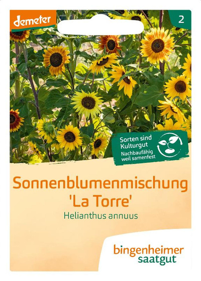 Produktfoto zu Sonnenblumen Samen