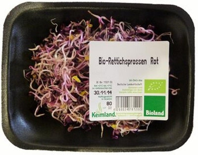 Produktfoto zu Rettichsprossen rot samenfest