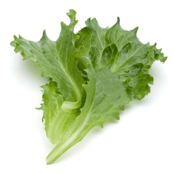 Produktfoto zu Endivie