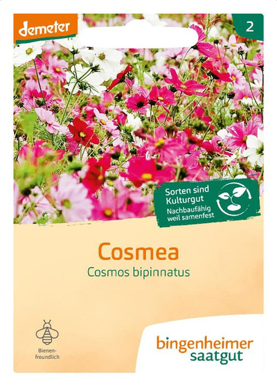 Produktfoto zu Cosmea
