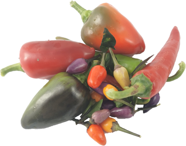 Produktfoto zu Chili-Mix, bunt