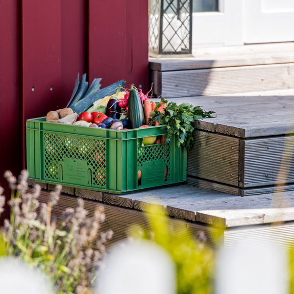 KI generiert: Eine grüne Kiste voller bunter Gemüse steht auf einer Holztreppe vor einem roten Gebäude.