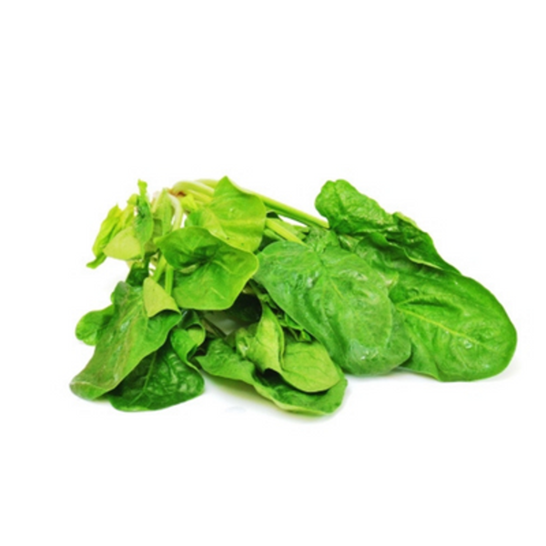 Produktfoto zu Spinat 2. Wahl