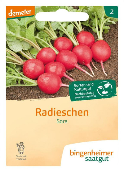 Produktfoto zu Radies Sora