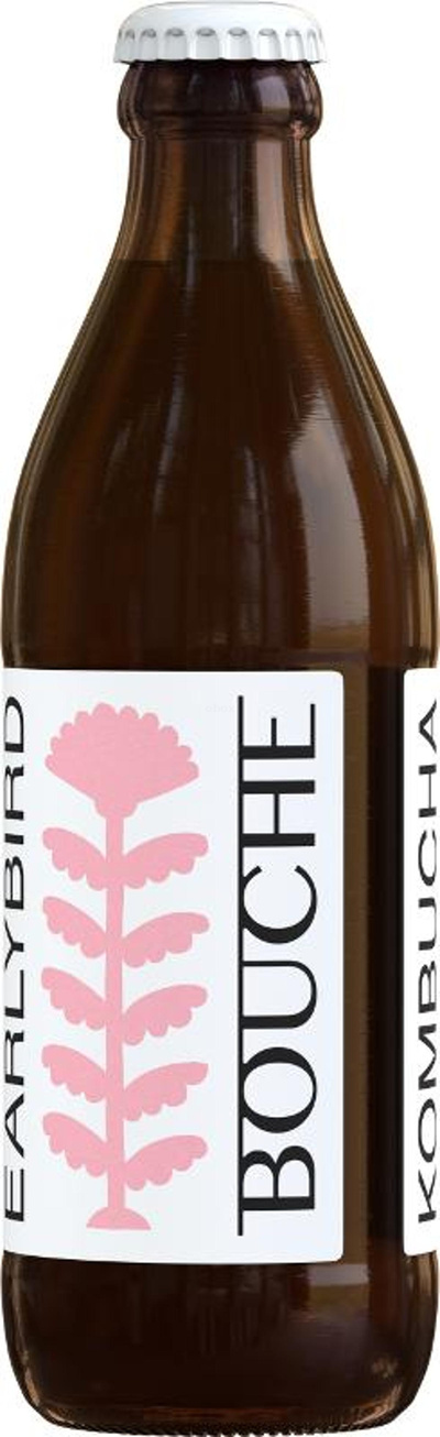 Produktfoto zu Kombucha Earlybird