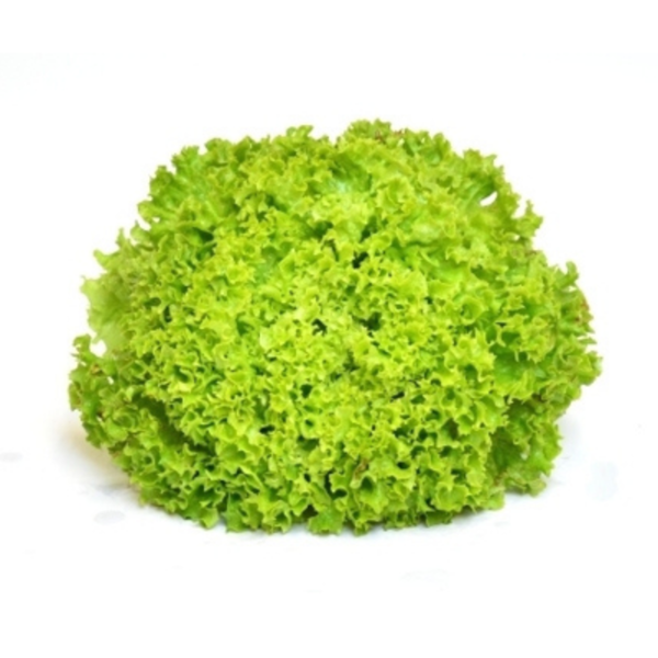 Produktfoto zu Lollo Salat
