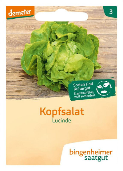 Produktfoto zu Kopfsalat Lucinde