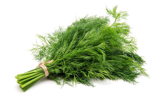 Produktfoto zu Dill