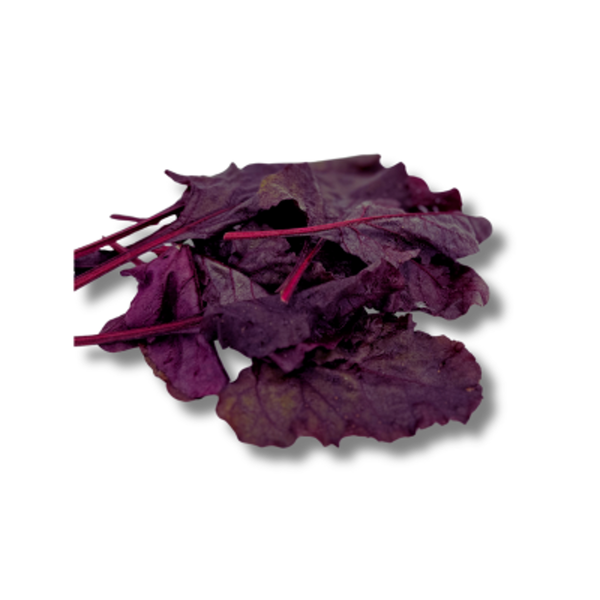 Produktfoto zu Rote Bete Blätter