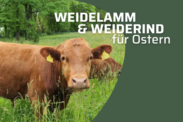 KI generiert: Das Bild zeigt ein Regal mit verschiedenen Brotsorten und wirbt mit einem 10% Probier-Rabatt auf ein neues Brotsortiment.