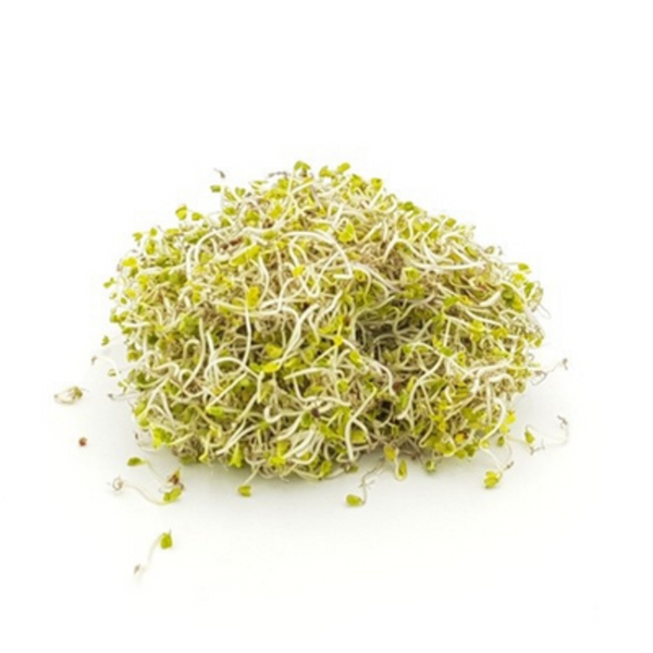 Produktfoto zu Brokkolisprossen