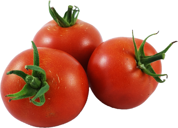 Produktfoto zu Strauchtomate