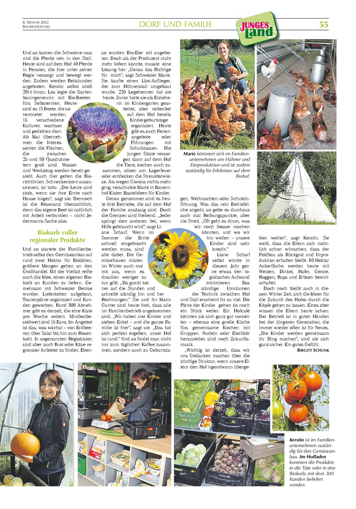 Bauerzeitung Seite 55