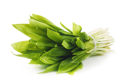 Produktfoto zu Bärlauch im Bund