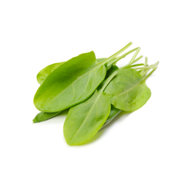 Produktfoto zu Sauerampfer